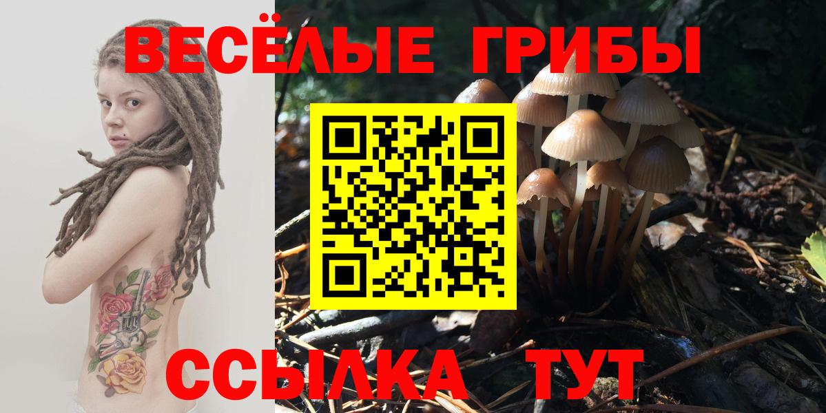 Галлюциногенные грибы GOLDEN TEACHER Гай